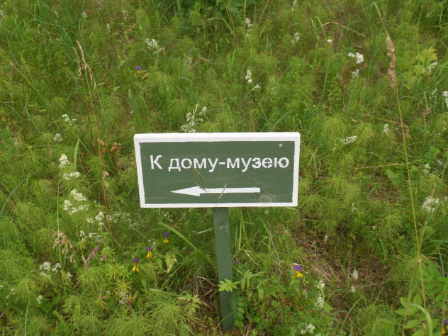 Природа Пушкинских гор